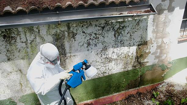 Top rated local Mold Remediation specialists in Howard, PA